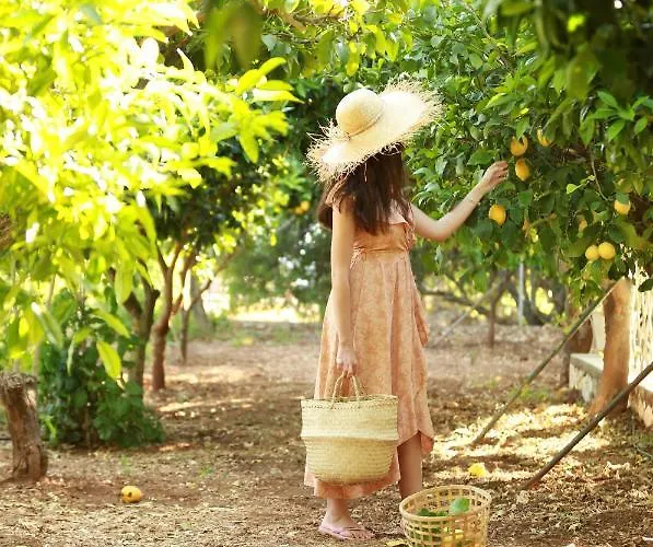 Bohemian Retreat Kefalonia Vila