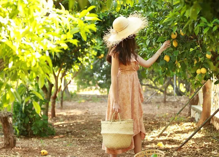 Villa Bohemian Retreat Kefalonia *